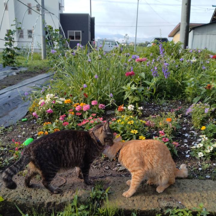 4ede5dbd 1cf0 4da7 a673 a0b4fba9e913 1687993440968