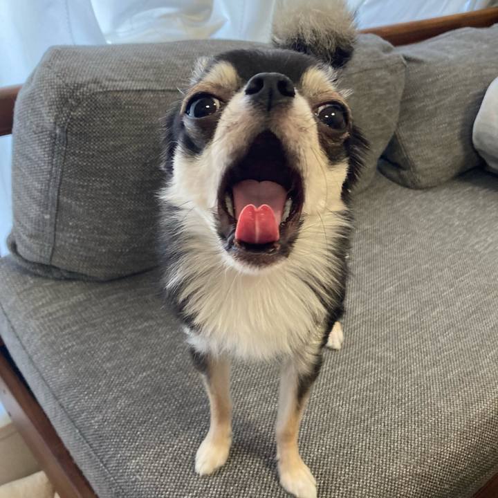 4ede74c7 fbca 4415 8dac 9d0ede7d1127 1619214802943