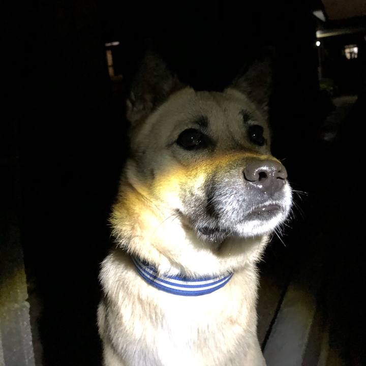 4ede8667 85be 40d9 b5d0 95096856e87b 1545394858913