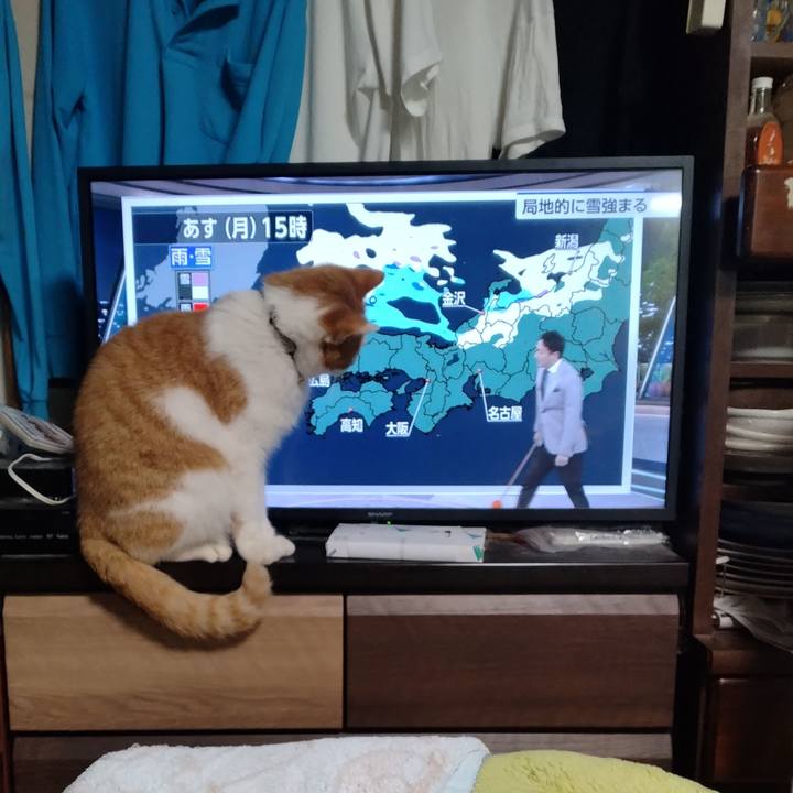 4ededee9 1e10 441b a80b 53fab0c50e47 1769944644883