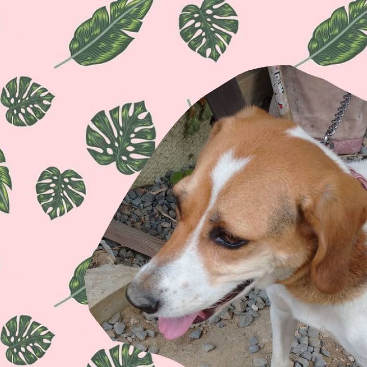 4edef5e5 bffe 4a73 a79b bb04a5d50865 1596862027337