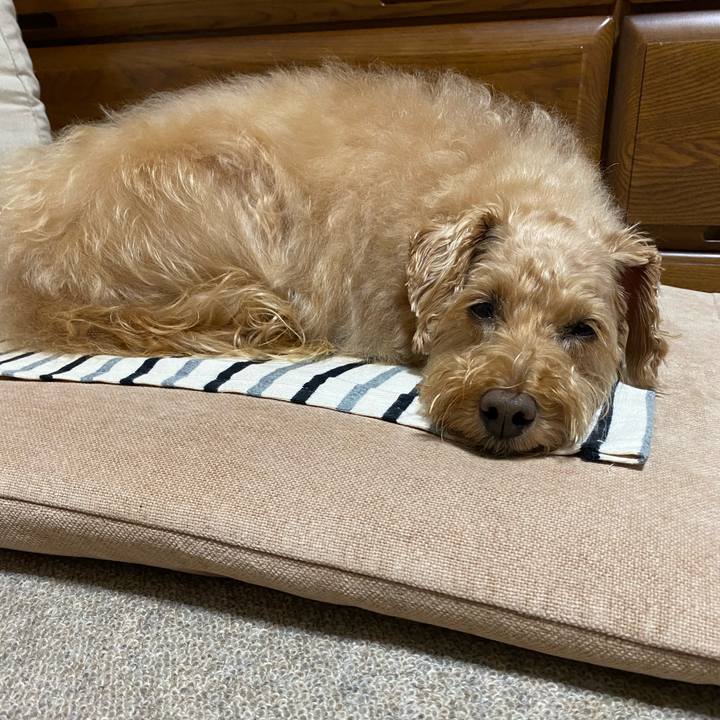 4edf15e0 b648 4cfb 8377 559eba6aa706 1655679340108