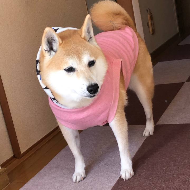 4edf2b5b c43a 43c8 a7f8 330602e0fce0 1605146153738