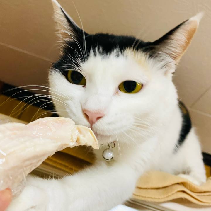 4edf305f 8512 4c06 8227 21af61981b72 1668775983167