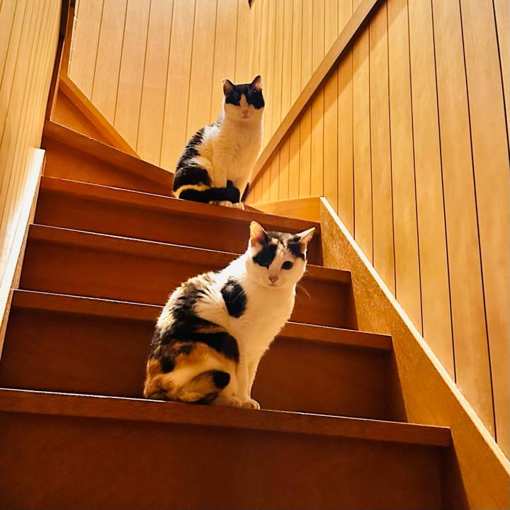 4edf4021 1524 4fe6 a341 08e3dfb1a52f 1691243353748