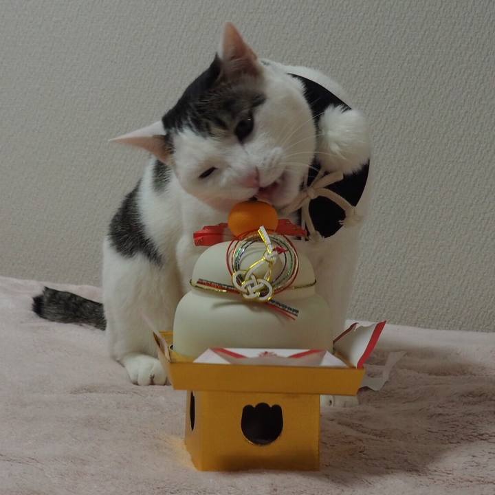 4edf8129 2d8c 4420 baa2 acb9fc1b3ad8 1514774200939