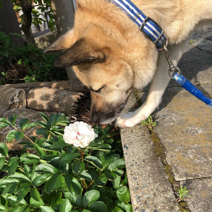 4edfc535 90cd 4c71 9bd3 8f36f7bc43b9 1558007054821