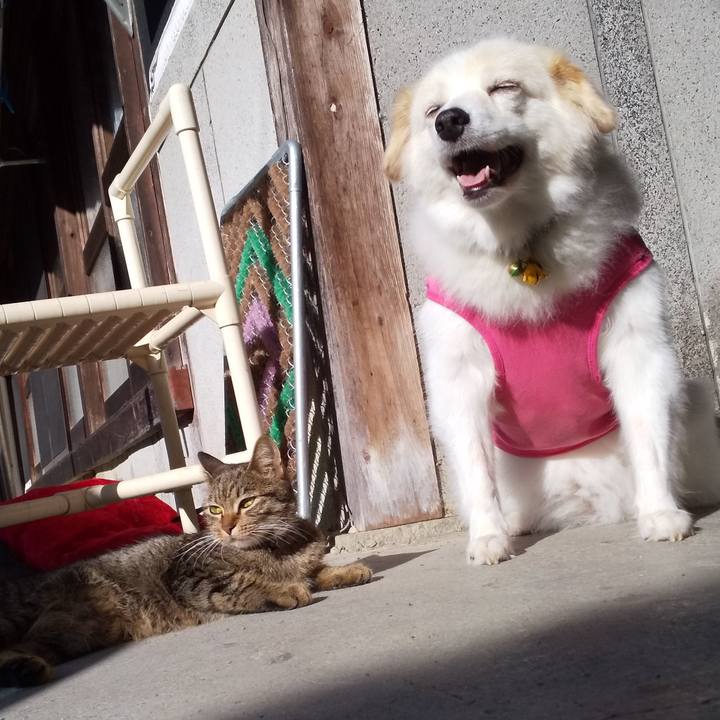 4edfe378 6aec 4cf5 a8bd 2e3fc2e07e6a 1571442074680