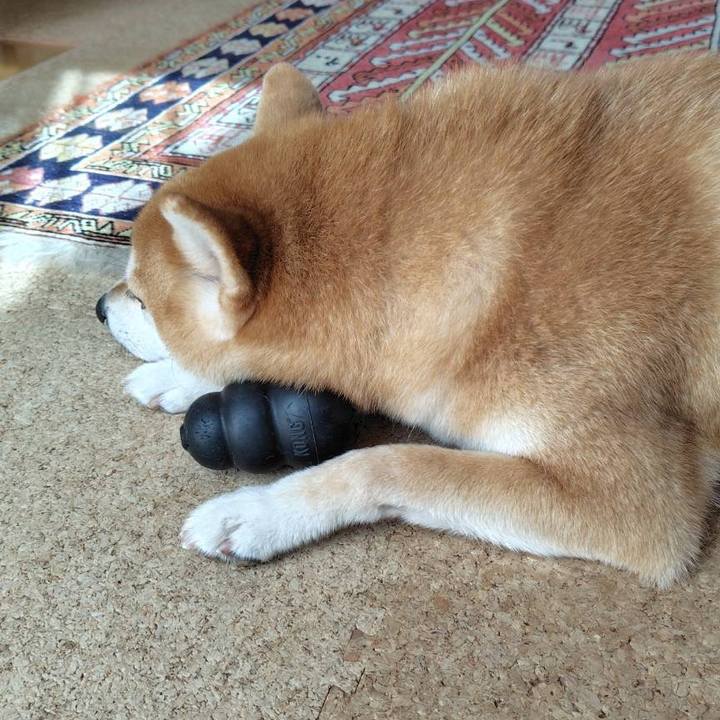 4ee00727 7cfa 48d9 a70e f5758f00c1e1 1757897790425