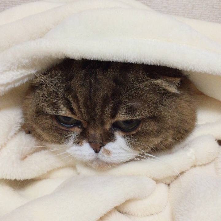 4ee02c4f 2a7f 4825 884e 309eea9257e3 1515123709728