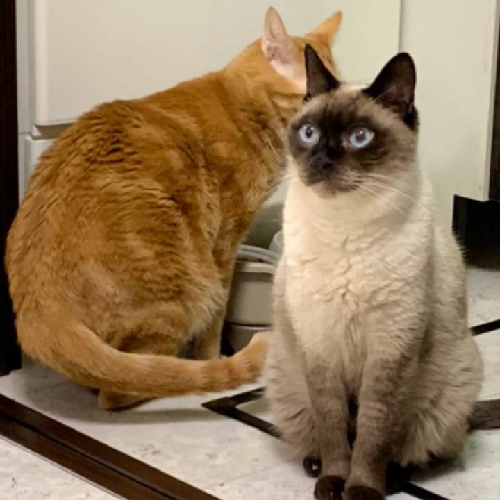 4ee05a84 9576 4955 b50d 7cd140fe39ac 1580120824908