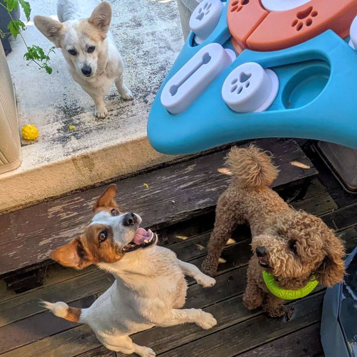 4ee06527 d2a7 4957 beef 1a3db6b1df55 1750633350269