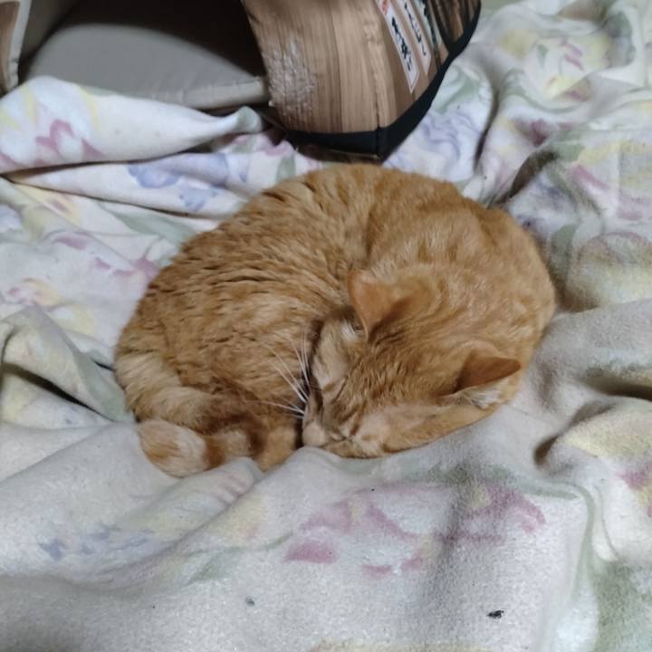 4ee07bdb c152 4e43 859c 85db2fb80bf2 1679832784101