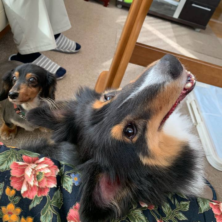 4ee15156 033b 40a5 852e 7eaa68873639 1592172034642