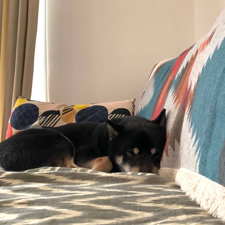 4ee1a55e 9a6e 478a ab28 6b263a23e428 1582686653254