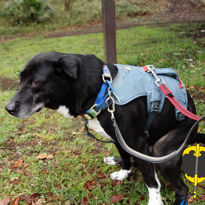 4ee1c49f 7dd3 4a95 9b8a 29cb388033ba 1711325232548