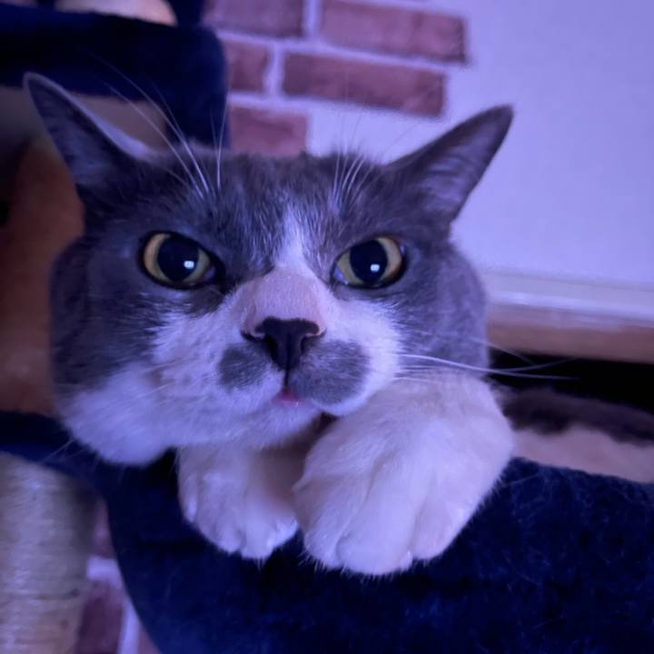 4ee1c4c2 2dee 4ad3 9abb d72966db13af 1657970567673