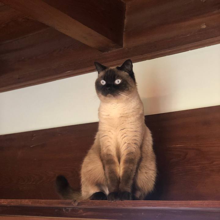 4ee1cb6c 209b 4de2 9d07 a5b76cd88c69 1622589775153