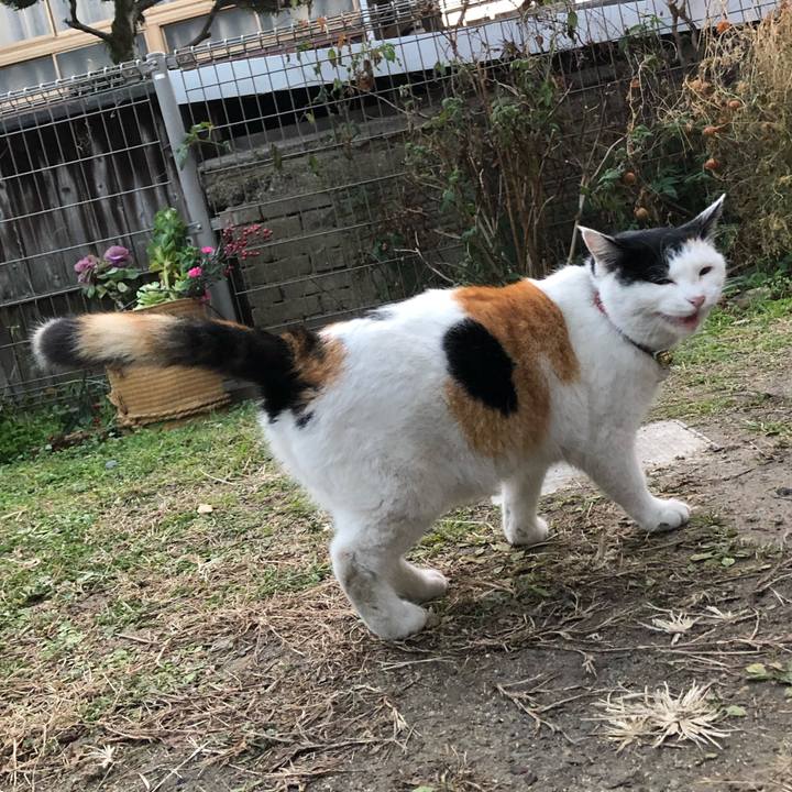 4ee2596b 271f 48d5 8c65 ddf02a1f6e29 1610749641575