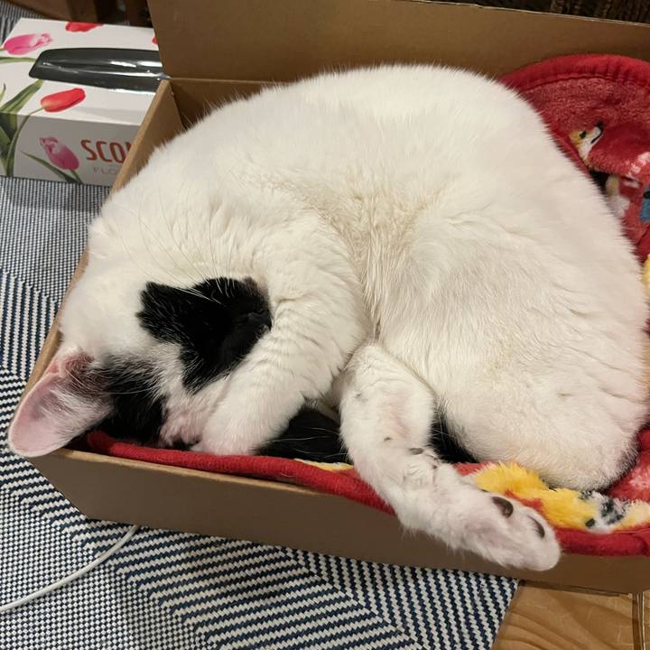 4ee29b6e bfdd 4592 bc64 0333995fa933 1762008268225