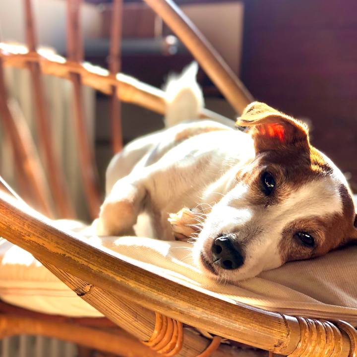 4ee2a6e3 3982 42e8 897d f26726cd67b9 1723360927890