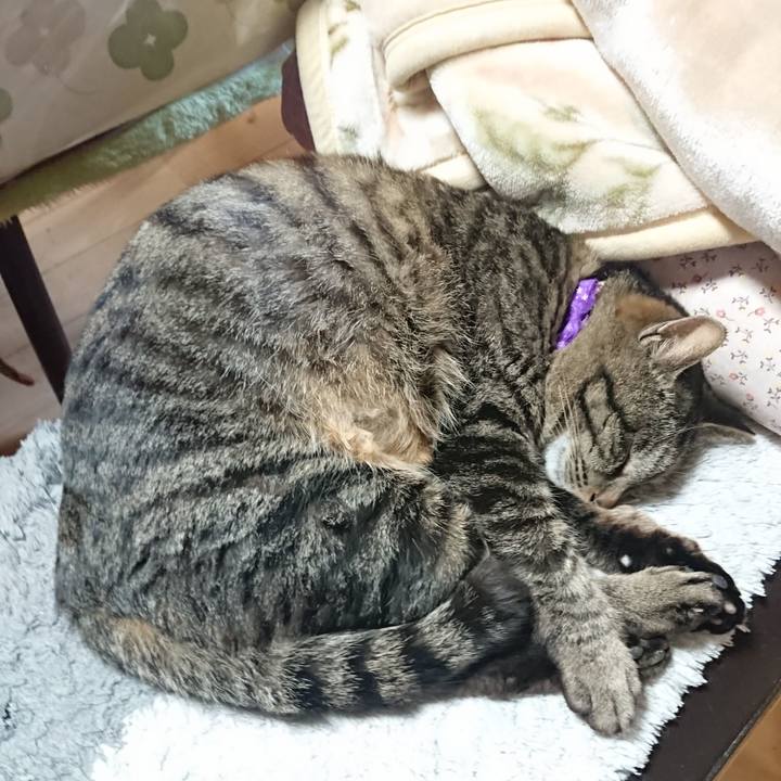 4ee2b6e1 5f9d 4467 a259 b6bcb9591cc5 1650147266660