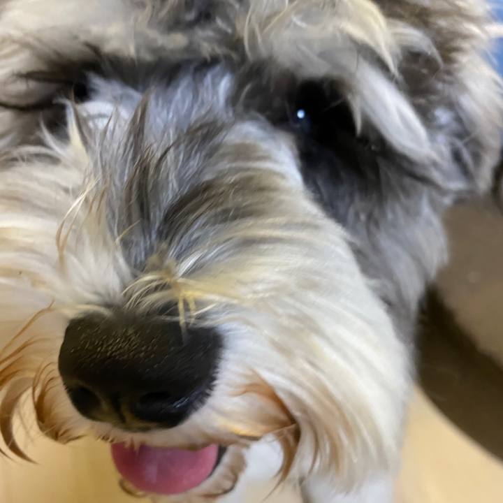 4ee2c08f 7699 48fe a40d 2b5fb3069dcb 1588686180687