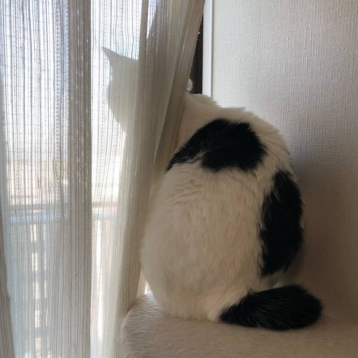 4ee2d0a5 2c82 4817 8377 44ea89e3aabf 1544484378987