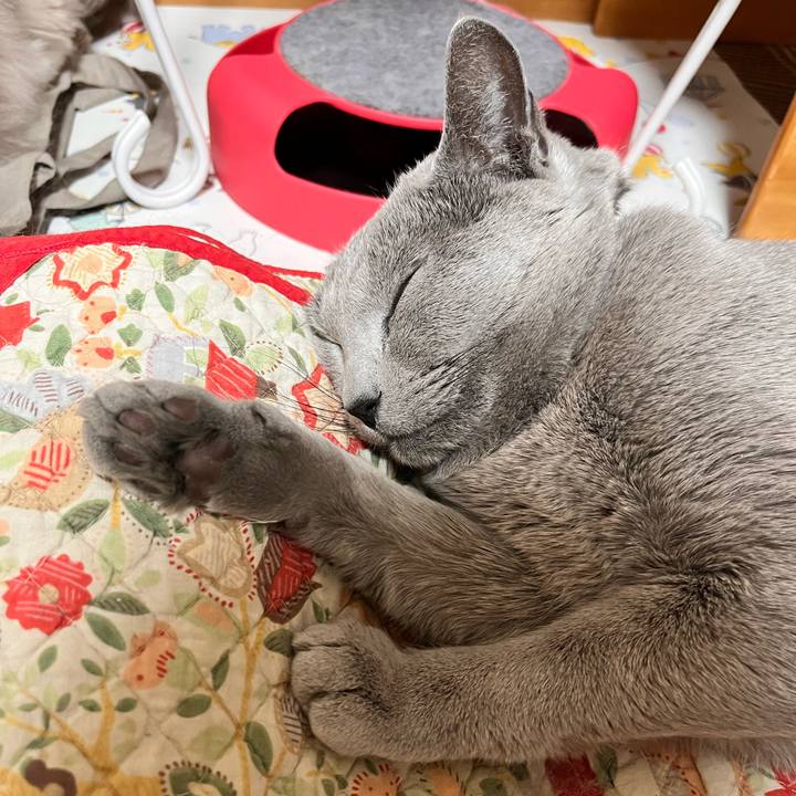 4ee2e247 b453 48f1 89c1 8892c12c9a16 1671543253981