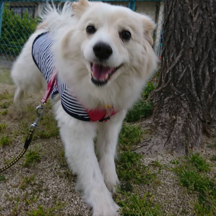 4ee2eae2 7288 4152 9416 e130ac6bfe38 1522965442365