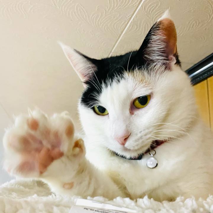 4ee2ff99 4c20 4b4a 9369 b22f38d95861 1679003500438