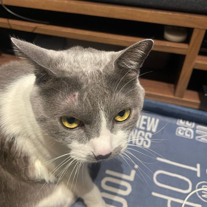 4ee313ee 5e28 488a b1bd aa23c4825cc7 1707041642161