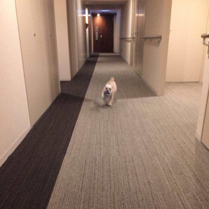 4ee336bb da7b 4192 8ae2 b4e3d9d27472 1561718496751