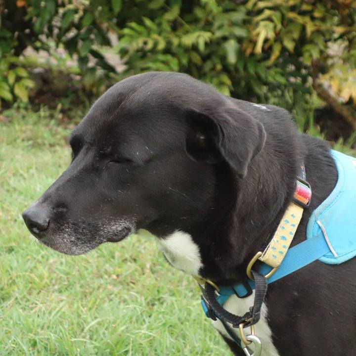 4ee353c2 d51b 4557 b379 1a3f6c9d694c 1634172056641