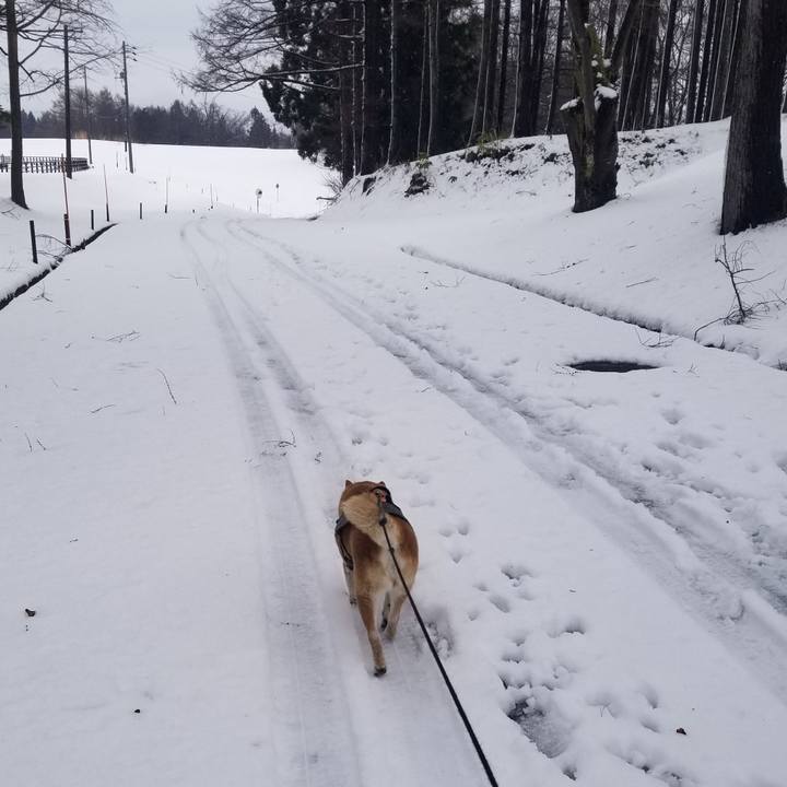 4ee3939e 08c8 4b84 a6a4 d64e6f69ef94 1711164350089