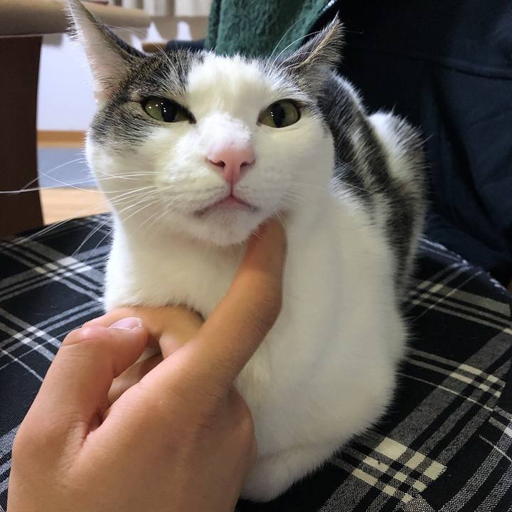 4ee3b018 39ff 4083 96b5 6f2b0a51583e 1648128760106