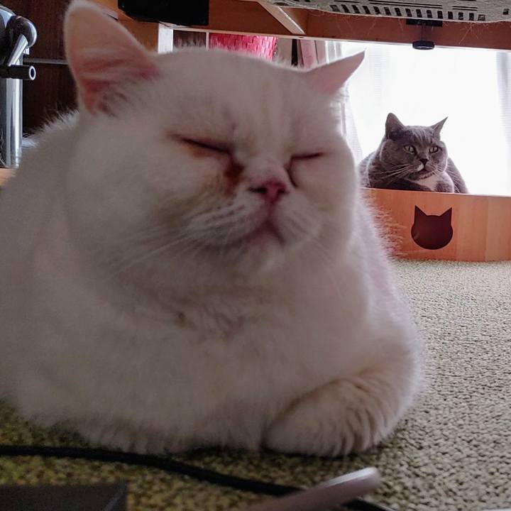 4ee42f01 ffb1 4876 be16 584bf9374b58 1651535333745