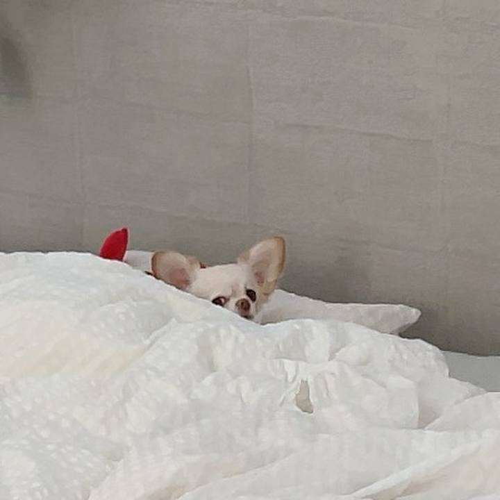 4ee453be e535 42b5 8da5 86240842f7d3 1725866266366