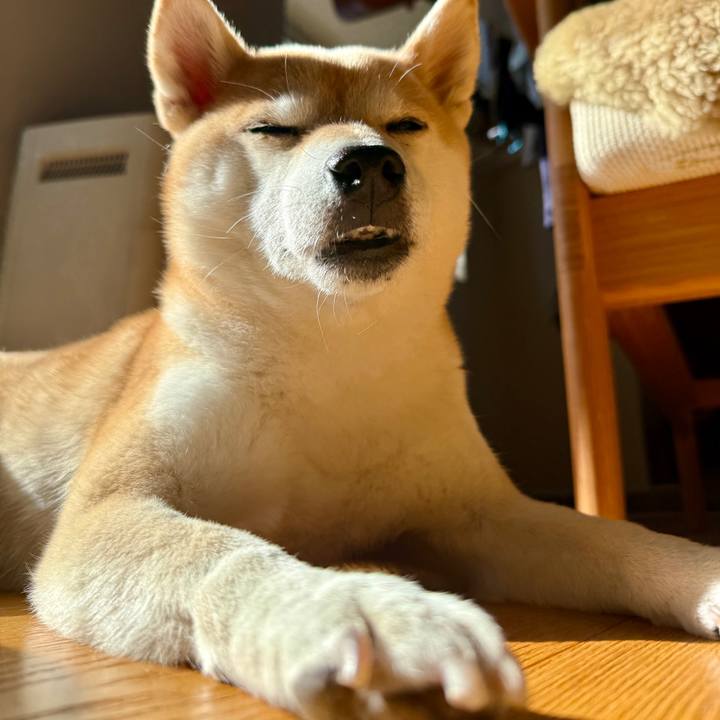 4ee4591e 4bdd 400d b1fb 32a52deb2e79 1764033110121