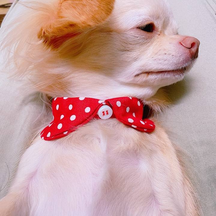 4ee46024 8bef 4ef9 8ab6 57f264cc221b 1627706267500