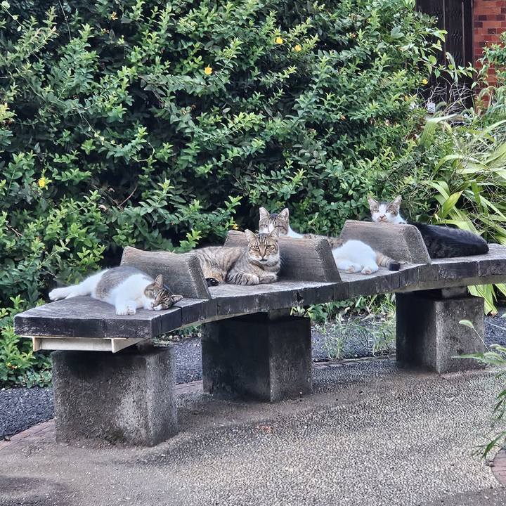 4ee4a886 94cd 49ac aeb2 f9b6b9703843 1724576505962