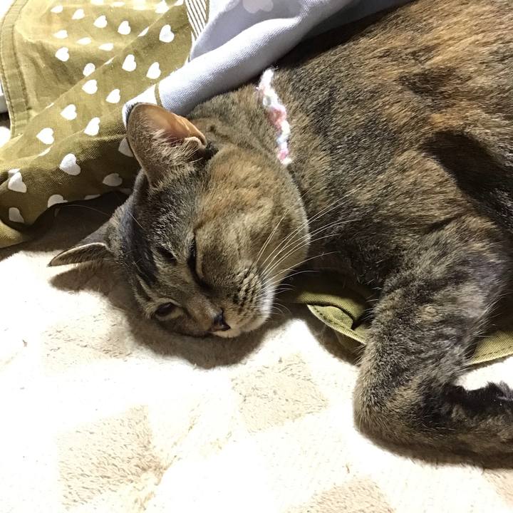 4ee4b497 ff72 44fc 9c78 105a1cb7bebc 1700392086917