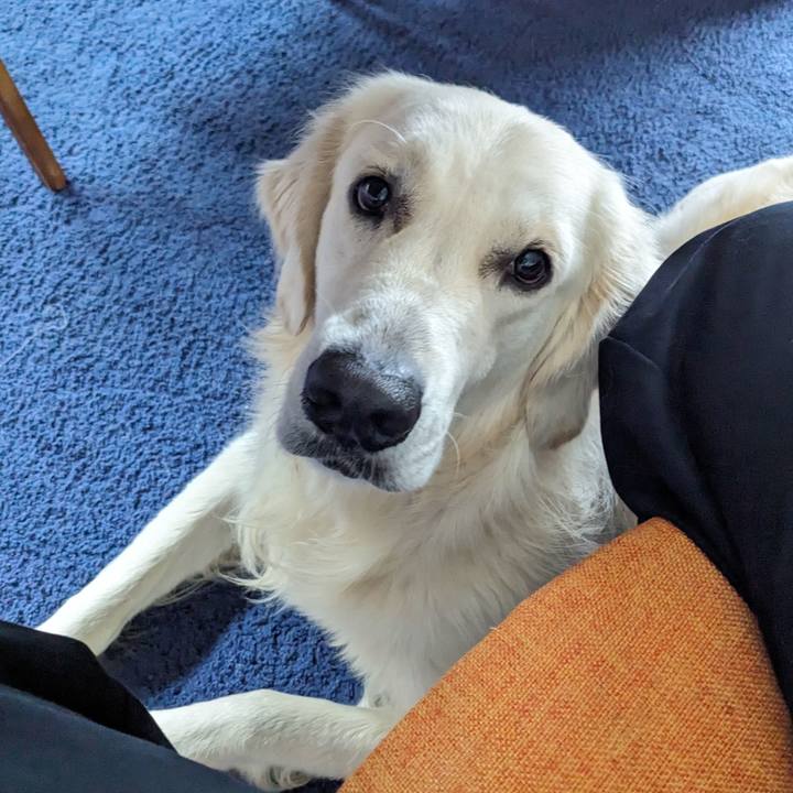 4ee4bc75 394d 4c4c b0d0 ed1be7697c9a 1760653496734