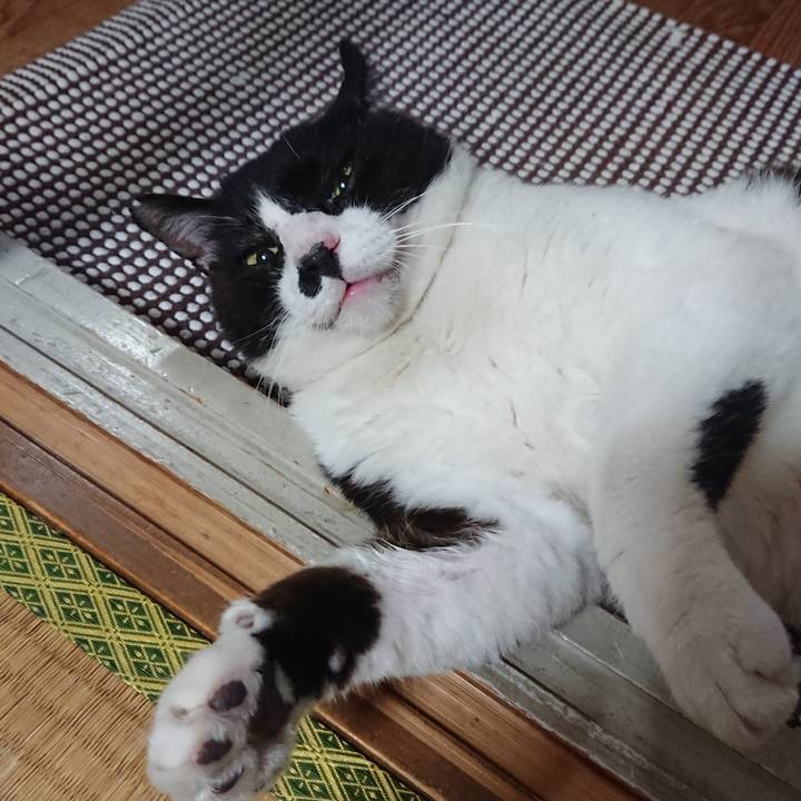 4ee4c45c cccd 4cb8 8023 1a5cbdb92172 1563449578777