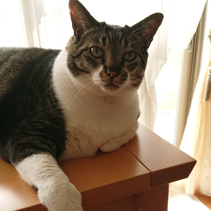 4ee4c765 e84b 413d bb7e 7a683e487304 1527903921945