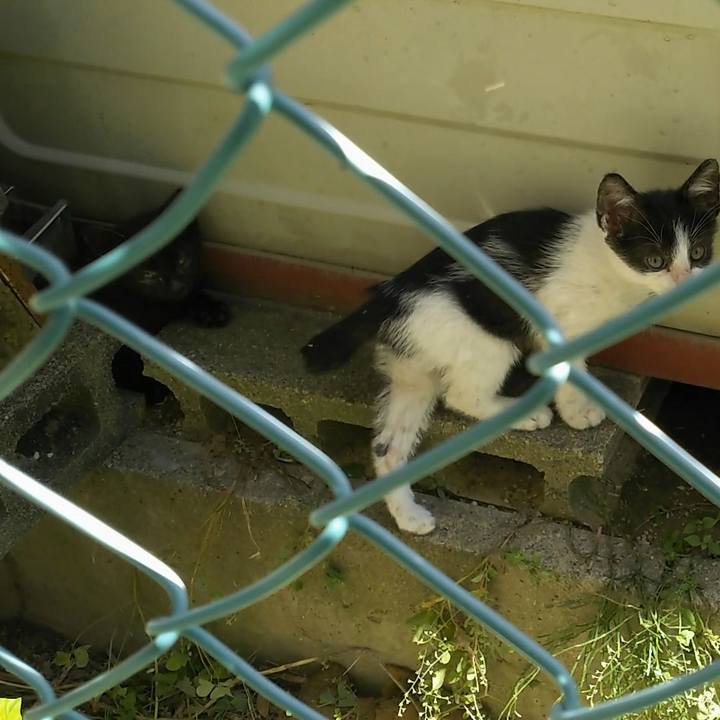 4ee4e921 a58b 46d9 a086 b16106993b70 1527989922106