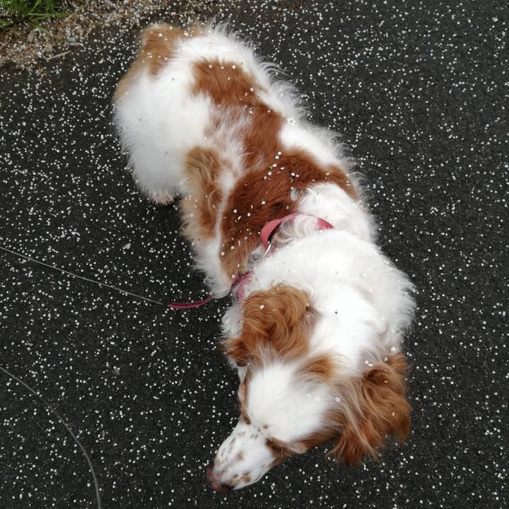 4ee5177a 259c 4fd5 a4e3 dbab28e6b824 1616895285093