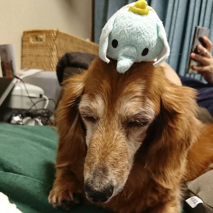 4ee52b64 315a 4d81 b0e4 bb769148ff4a 1594148092339