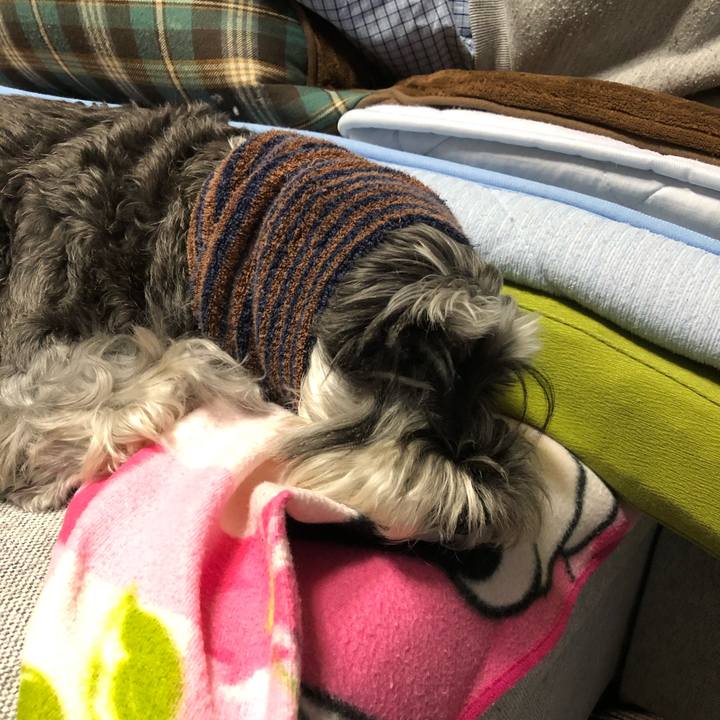 4ee562da 1f1c 431b 9d1e 7e02967a3674 1666101090549