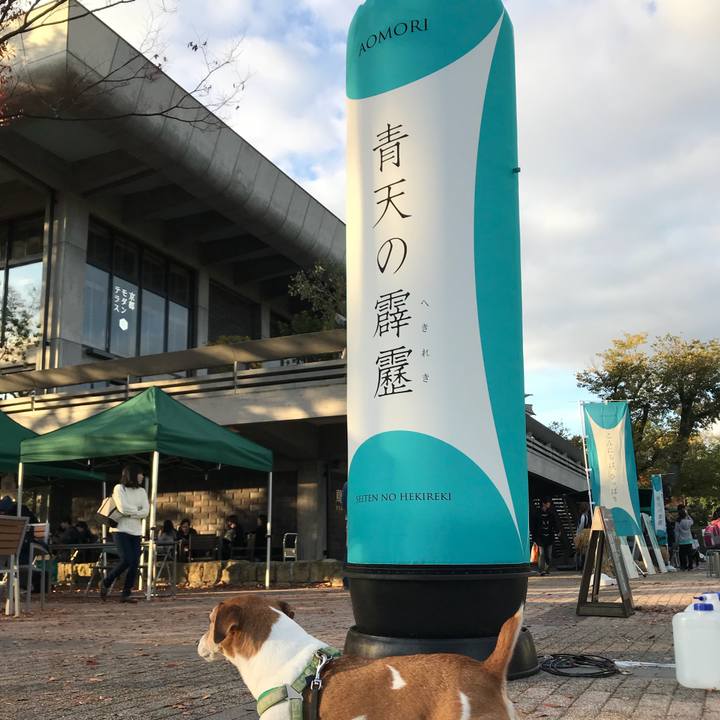 4ee58d63 f2e4 407e b272 9f3cdc1a9541 1510473970543